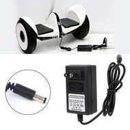 Charger for Fascia Gun DC5.5x2.5 Adapter Over-Voltage Protection Over-Current Temperature Control wi