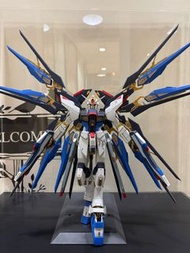 Bandai Pg strike freedom 完成品