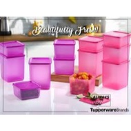 *1pc/2pcs*TUPPERWARE So Fresh Square Combo Double so fresh Crocus / Pink Passion
