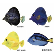 [Blue Box Aquarium] Aquarium Must Accept Beautiful Stickers 2--Seather Fish Coral Waterproof Sea Clo