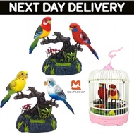 【SG SELLER】Parrot Talking Bird Toy Can Move Talk Recording Simulation Bird Toy Learn Tongue Couple B