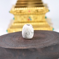 Shell Barrel Beads A2650026