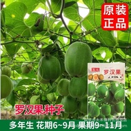 Monk Fruit Seed Monk Fruit Seed Monk Fruit Seed Climbing Vine Fruit Tree Planting Balcony Plant Four