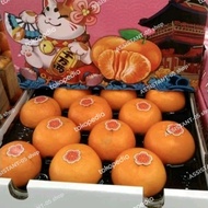 jeruk wogan sakura / wogan mandarin sakura 2,2kg