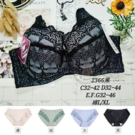 MIT Carnier Large Size Underwear [C~G 32~46] 2366 Super Covered Lace Cup Big Breast bra Also Have Ma