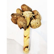 Handmade Kluwak Nut Shaker