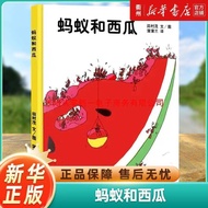 Ant and Watermelon Sun Li Recommended Picture Book 3-6 Years Old Hard Shell 2 Years Old Baby Book Ch