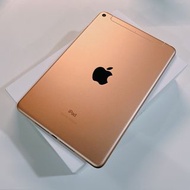 Apple iPad mini 5 第五代 64GB WiFi+Cellular Gold A2124 2020 [092137]