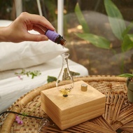 【送兩瓶精油】Hygge no.18 實木款擴香儀 送禮推薦 香氛機