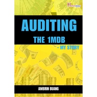Auditing The 1MDB - My Story