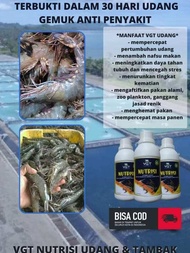 VGT udang vitamin probiotik agar udang vaname lobster air tawar cepat panen dan tdk mudah terkena vi