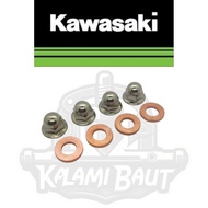 KAWASAKI MESIN Nut Cap Engine 8 mm ^ Nut Cap Kop Head Lower Deksel Set of 4 Engines Engine Block Bor