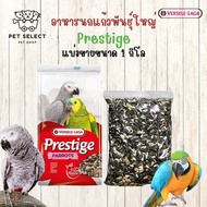 [1กิโลกรัม] Prestige PirrotsA อาหารนก อาหารนกแก้ว อาหารซันคอนัวร์ อาหารสำหรับ นก นกแก้ว นกแก้วแอฟฟริ