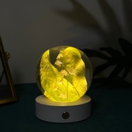 真花 \乾燥花 白鈴蘭花永生花樹脂夜燈