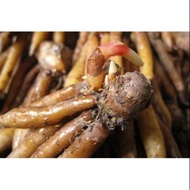 AZ Fresh Key Temu 500 grams