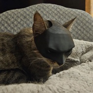 Trang Phục Halloween Batman Cat Mask Trang Phục Thú Cưng Dễ Thương Trang Phục Mặt Nạ Thú Cưng Cho Mè