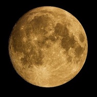 Canon LENS EF 600mm F4 佳能鏡頭 大砲 長焦鏡頭 望遠鏡頭 拍月亮