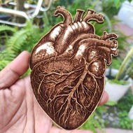 KAYU Human Anatomy Wood 3D Carving