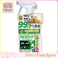 Mold Remover Spray for Wood, Tatami, Slats, Mattress & Curtains (300ml)