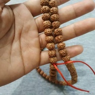 Kalung Jenitri Rudraksha Biji Jenitri