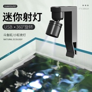 12.8 Mini Small Fish Tank Spotlight Waterproof Splash Lighting Grass Tank Betta Fish Tank Guppy led