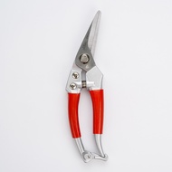 JAYA MATA Superior Quality Garden Shears (8") JM601