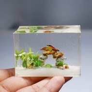 Miniature clay betta with stone in the tank