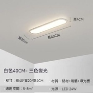 過道簡約長條吸頂燈（白色40*20cm）【LED三色變光】