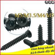 Black Grade 8 Round Head Hexagon Socket Self-Tapping Screw Furniture Screw M3/M3.5/M4/M5/M6 (WD-YL-V
