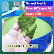 Bibit Wolffia Pakan Ikan 100gr