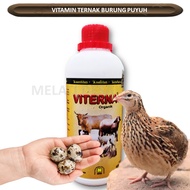 VITAMIN TERNAK BURUNG PUYUH RAJIN BERTELUR DAN BERDAGING TEBAL / VITAMIN ANAKAN N BIBIT BURUNG PUYUH