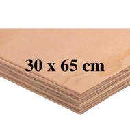 30 x 65 cm Premium Marine Plywood