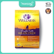 Wellness Complete Health Grain-Free Dry Dog Food (12lb/5.4kg) | Puppy (Deboned Chicken, Chicken Meal &amp; Salmon Meal)