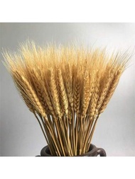 50/100株乾燥小麥秸稈，天然麥穗花束，適用於家居餐桌花藝裝飾婚禮擺設