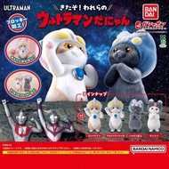 Gachapon Ultraman Cat Costume