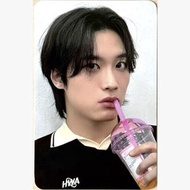 Dragon Pony Not Out Ktown4u K4 特典 小卡