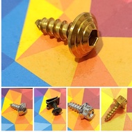 Heng Bolts Original Body Panel Fairing Fastener Screw for Yamaha Vega Sight, ZR & Crypton Z