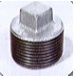GI Plug Galvanized Iron Gi Fittings 1/2" - 2"