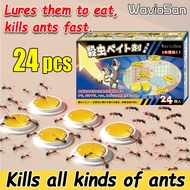 【Kills all kinds of ants】VGD Ant bait Ant poison Ant killer gel Lures them to eat,kills ants fast. C