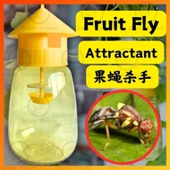 Fruit Fly Trap Bottle 果蝇  Insect Flies Catcher Fruit Fly Attractant Container Perangkap Serangga Lal