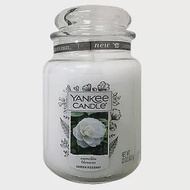 YANKEE CANDLE 香氛蠟燭 623g-盛開山茶花