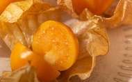 【4月底出貨夯鮮貨！日本種新鮮黃金莓(燈籠果) 200g x4盒】酸漿果顆顆飽滿皮薄金黃 入口爆漿酸酸開胃