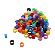 10 Pcs RING MERPATI KLIP PENANDA BURUNG MERPATI BALAP KOLONG HIAS CUMULET FLIGHT LABEL NAMA IDENTITA