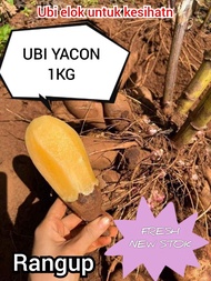 UBI YACON/UBI YAKON 1KG/FRESH/NEW STOK