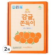 Jeju Tangerine Chewy Snack 15pcs × 2 Boxes (270g)