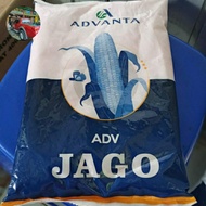 Benih Jagung hibrida ADV JAGO