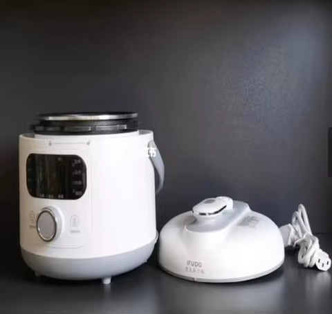 110V/220V Electric Pressure Cooker Multifunction Home Use for USA Japan Canada Export EA