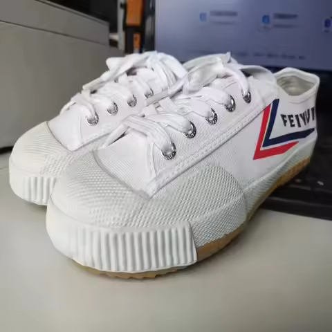 Kung Fu Karate Footwear Sports Training Sneakers Kung Fu Wushu Shoes Martial Arts Tai Chi Taekwondo 