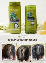 YVES ROCHER 法國護髮系列，防脫髮洗頭水 300ml + 護髮素200ml