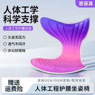 思菲其 護腰坐墊靠背 辦公室記憶棉輕奢靠墊 久坐腰墊靠背墊 護腰神器 #3012